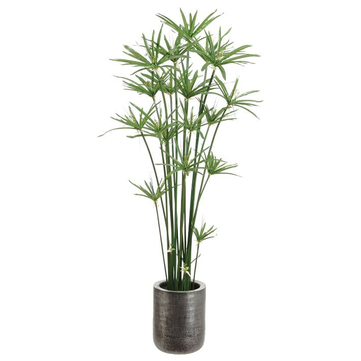 Faux Potted Cypress Grass Tree w/ Planter | West Elm (US)
