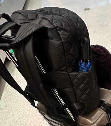 The best backpack carry on imaginable for traveling this spring!!  

#LTKtravel
#LTKsuitcase

#LTKTravel