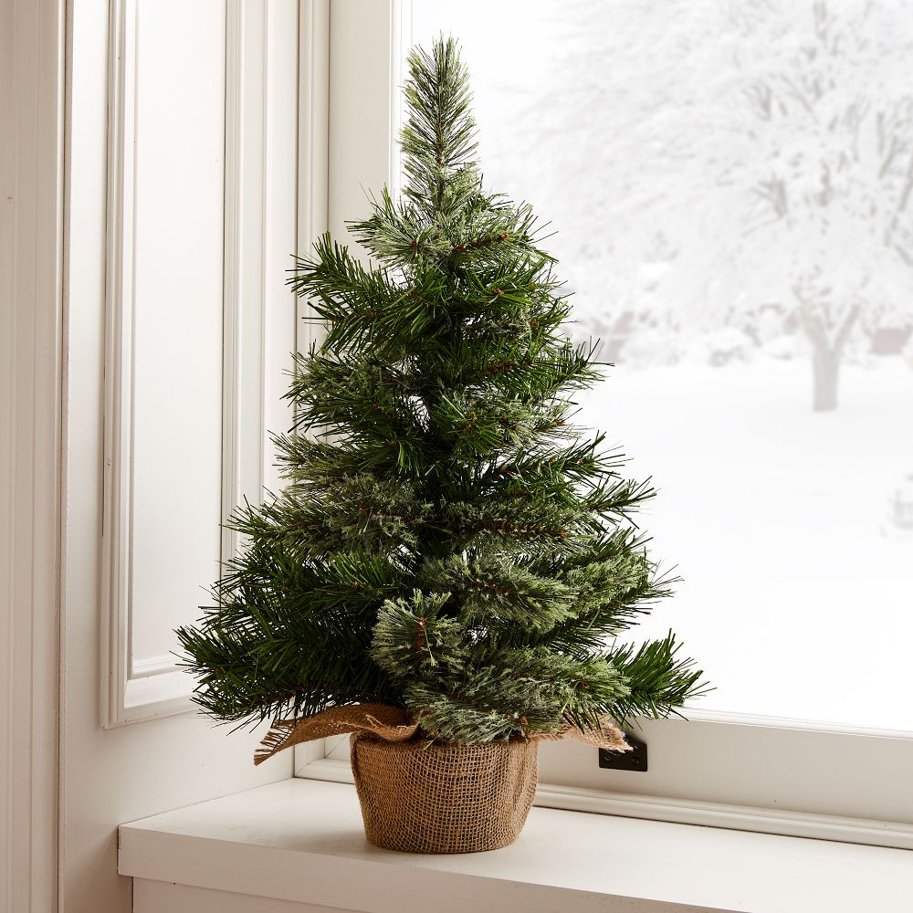 Full Tabletop Tree, 2' | West Elm (US)
