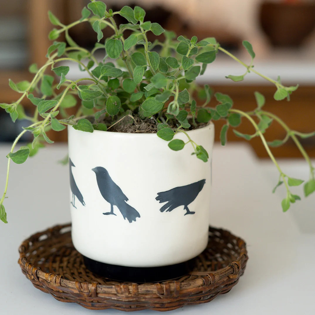 Shadow Crow Pot | Elements by Remedy