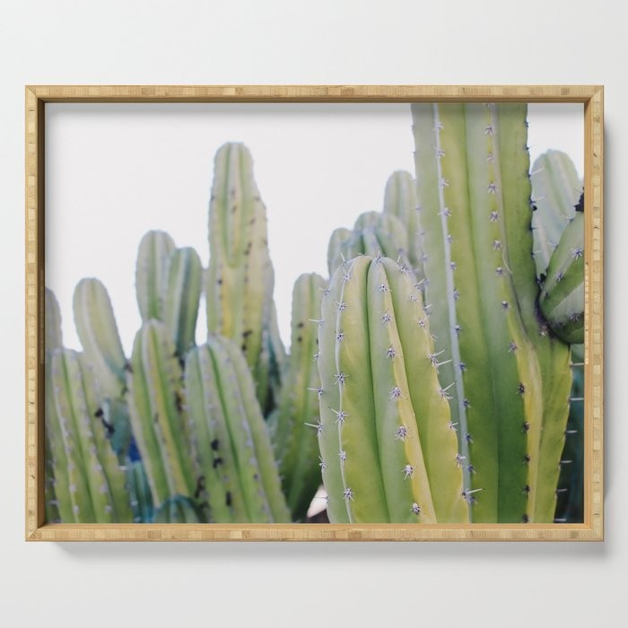 Palm Springs Cactus Serving Tray | Society6
