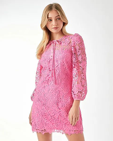 Endless Rose Lace Sheath Mini Dress | Express (Pmt Risk)
