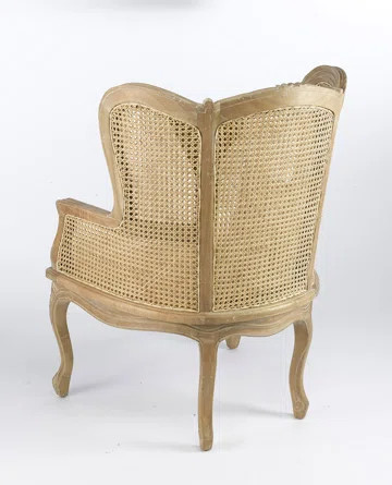 Giovanni 31" Wide Armchair | Wayfair Professional