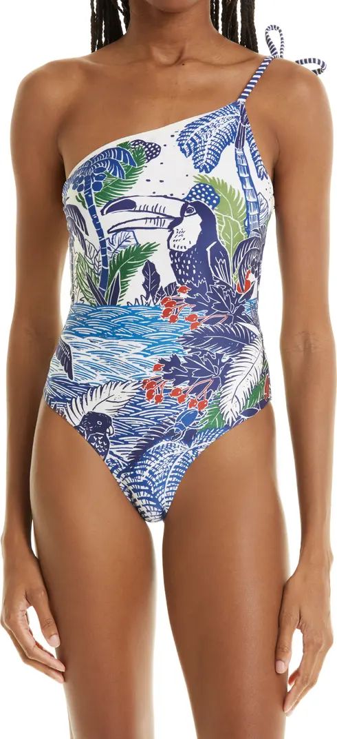 Graphic Rio One-Shoulder One-Piece Swimsuit | Nordstrom