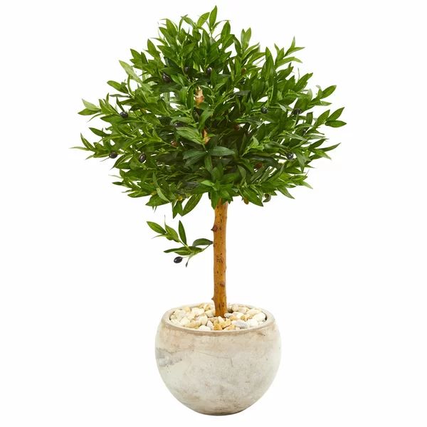 38in. Olive Topiary Artificial Tree in Bowl Planter UV Resistant (Indoor/Outdoor) | Wayfair North America