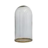 Creative Co-Op Decorative Glass Cloche with Metal Base, Antique Brass Finish | Amazon (US)