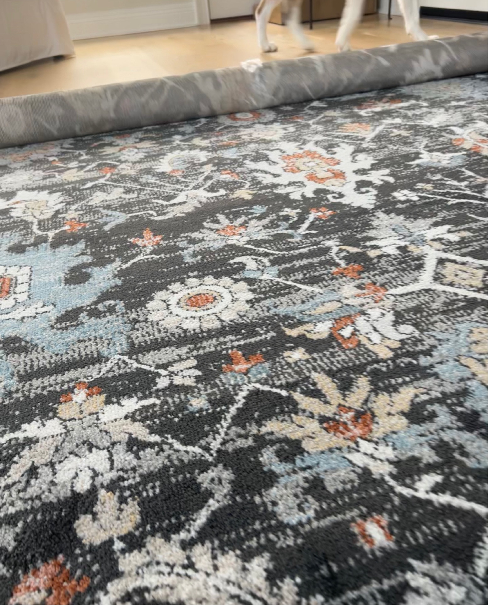 Loloi Odette charcoal multi area rug, blue, orange, red black large rug or runner

#LTKhome