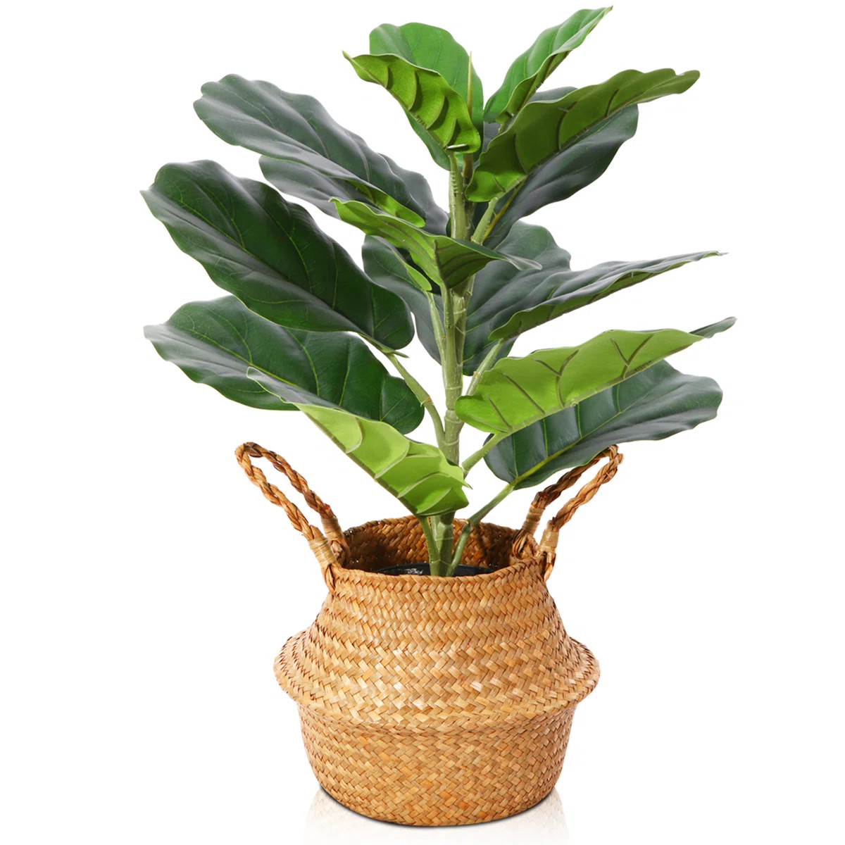 Adcock Artificial Fiddle Leaf Fig Plant in Basket, Faux Green Plant, Fake Tree for Home Décor | Wayfair North America