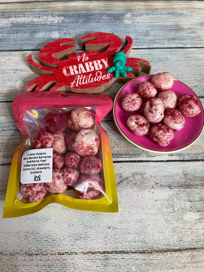 Berry Bonbon Barnacles – Healthy Hermit Crab Treat | Etsy (US)