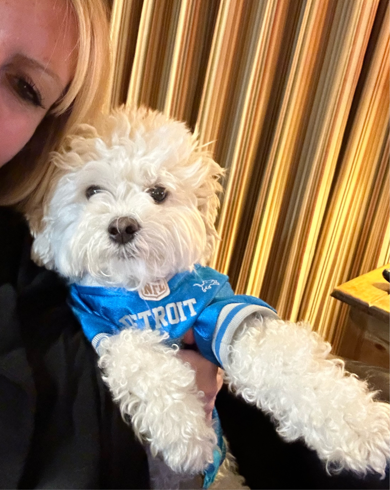 *Sigh* well we are sad that our Detroit Lions are no longer in the running for the Super Bowl this year, there’s always next year. Grab your fur baby your team’s jersey, whether you are still cheering on your team this year, or preparing for next year. 

#LTKPets