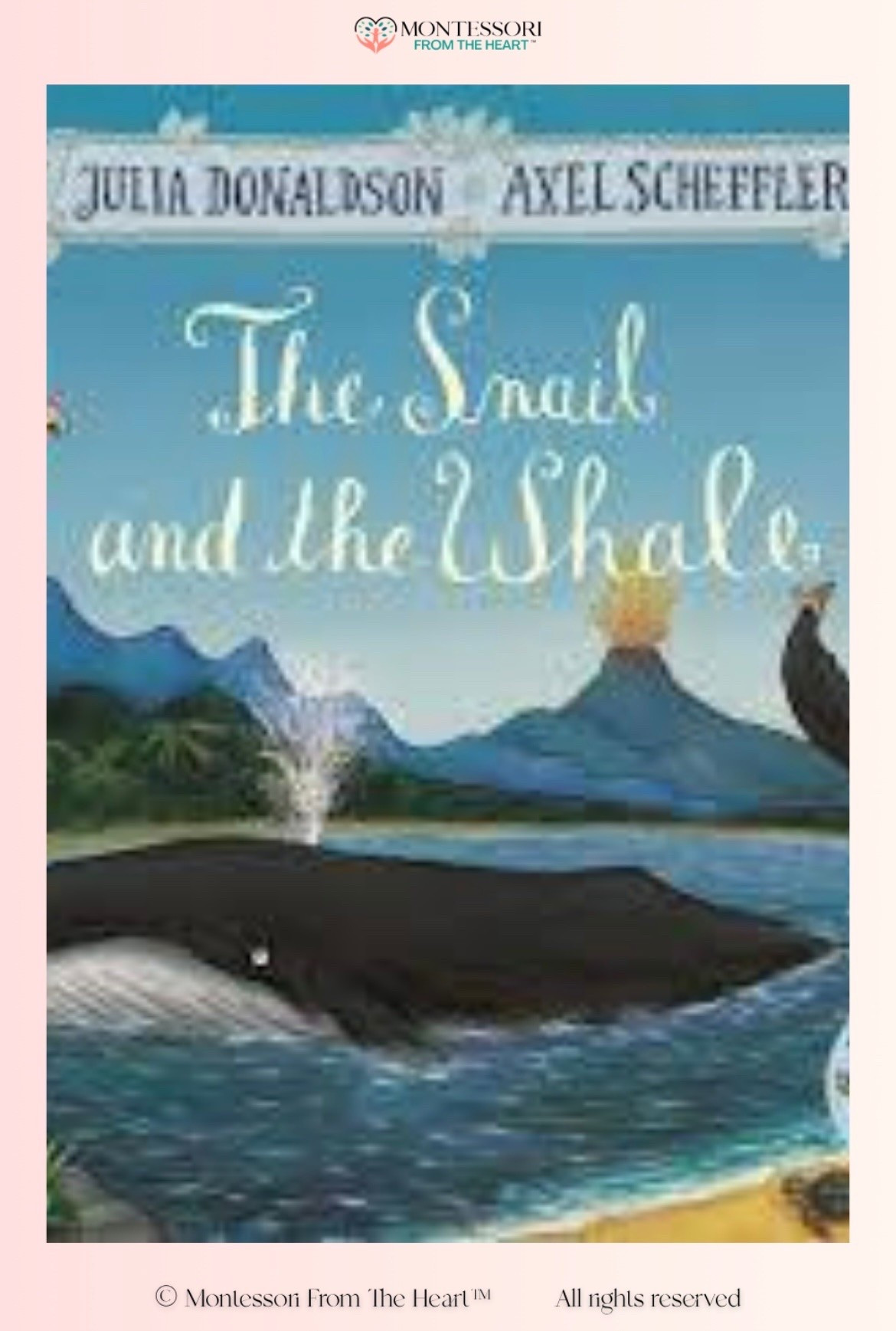 The Snail & The Whale ~ Book for Kids

#LTKhome #LTKkids #LTKfamily