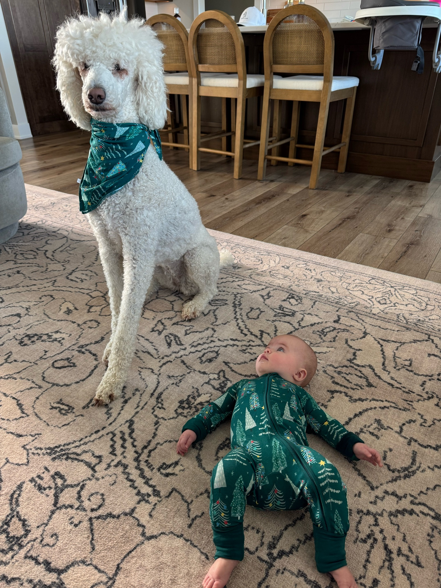 Christmas Jammie’s for the whole family 🎄🫶

#LTKHoliday #LTKFamily #LTKSeasonal