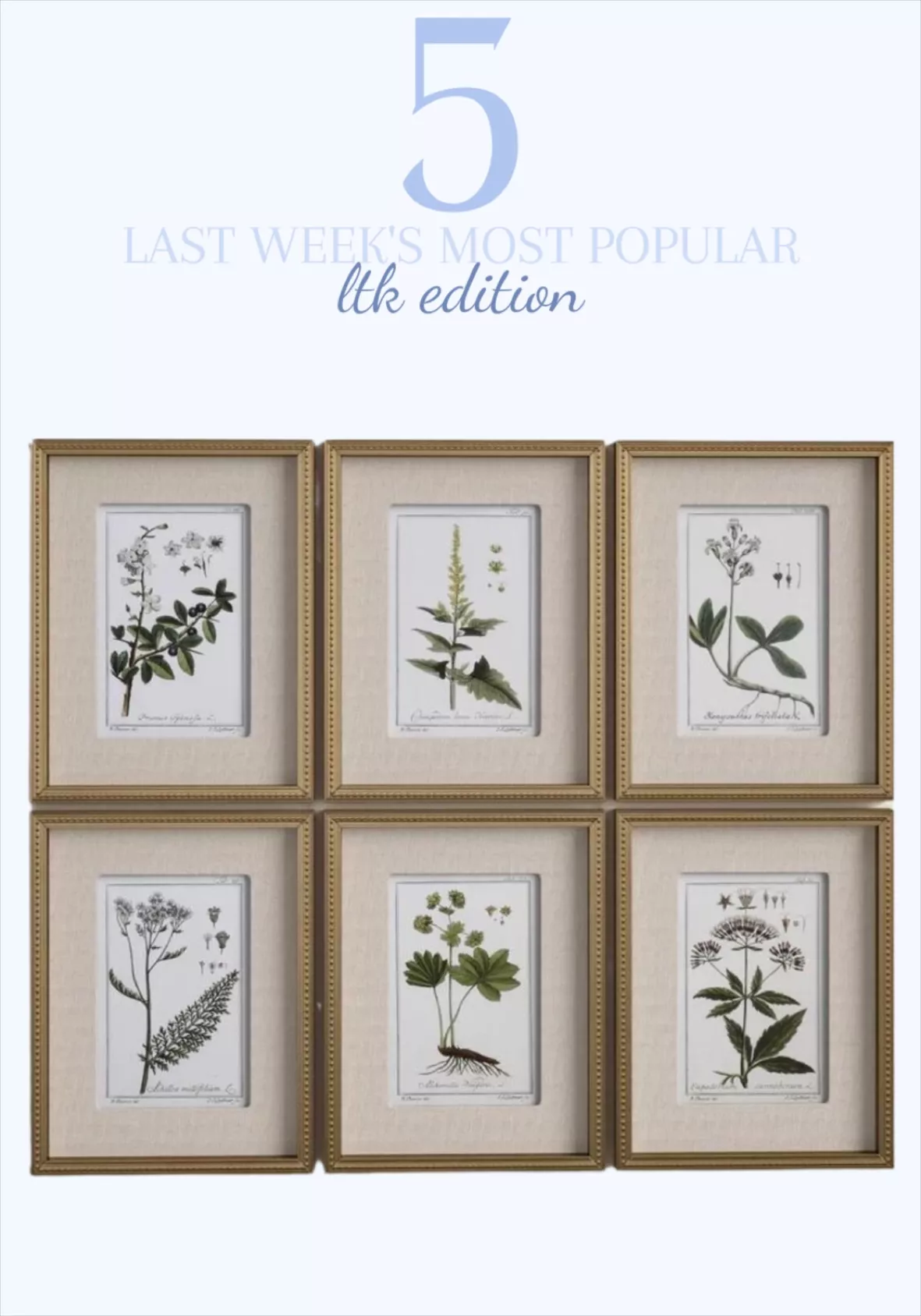 Best Sellers: The most popular items in Artists