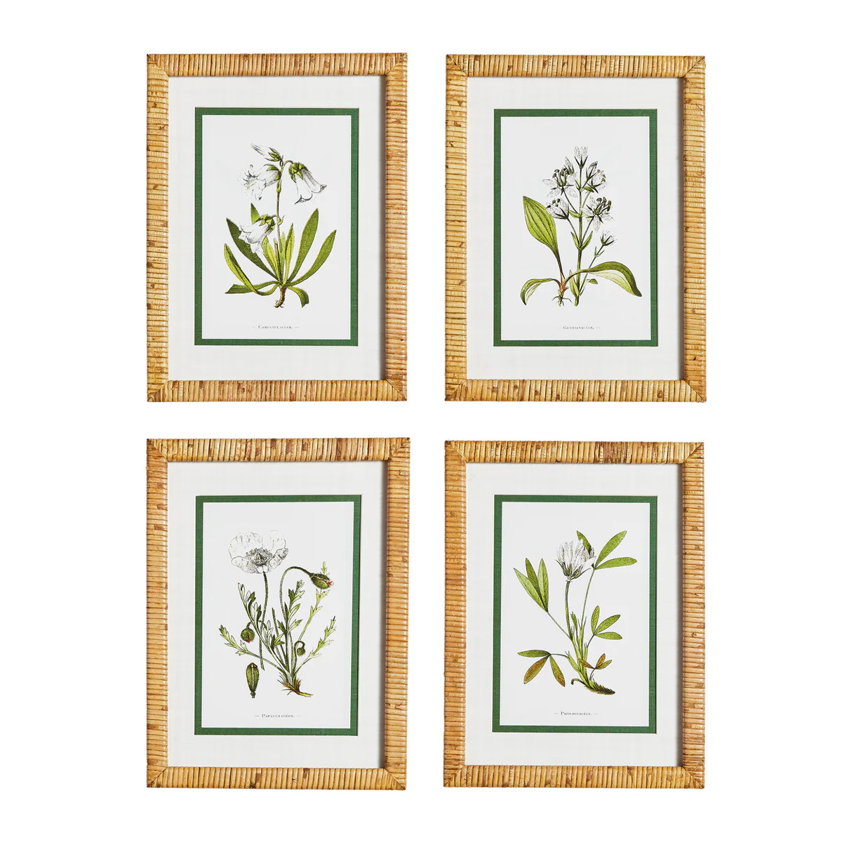 Set of Four Framed White Floral Study Prints Wall Art | The Well Appointed House, LLC