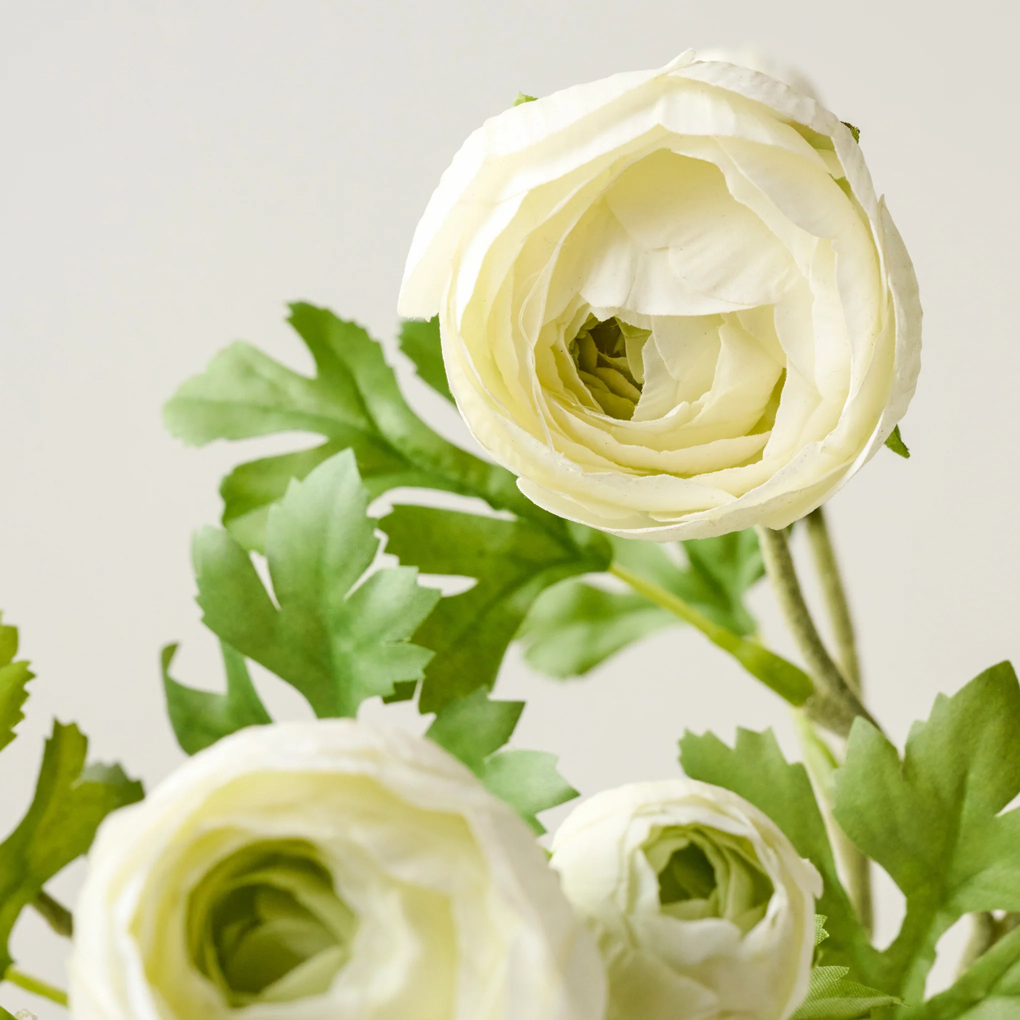Real Touch Ranunculus Stem | Magnolia