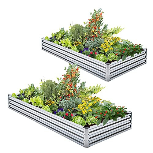 Veezyo Galvanized Raised Garden Bed Kit - Metal Raised Planter 2pcs/Pack 6'x3'x1' for Flowers Plants, Vegetables Herb | Amazon (US)