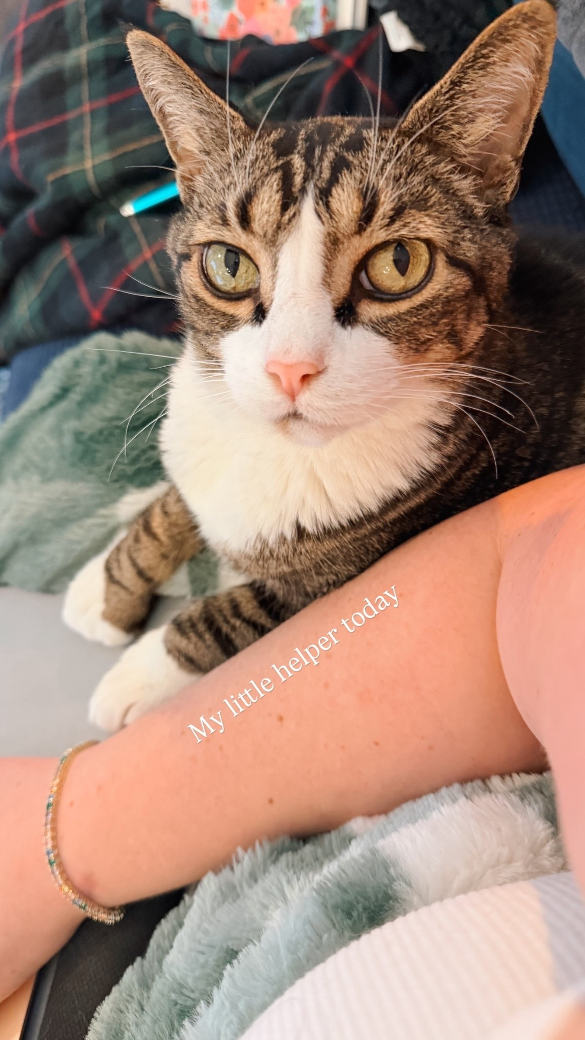 My little helper today 😻💚✨

#LTKgrwm #LTKdayinmylife #LTKHome