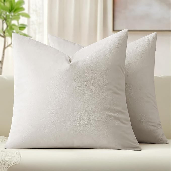 MIULEE Velvet Throw Pillow Covers 22x22 Inch Pack of 2 Greyish White | Amazon (US)
