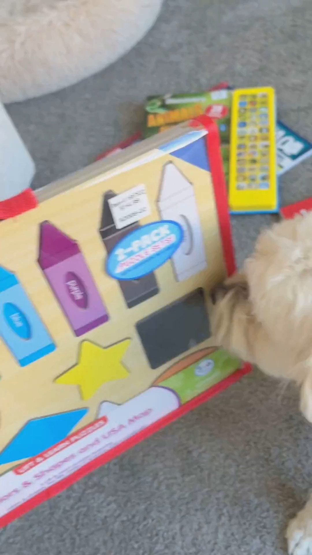 Product sniffer over here 🫡

Lil bro is going to love this color/shape and American map puzzle! 

#LTKBaby #LTKFamily #LTKKids