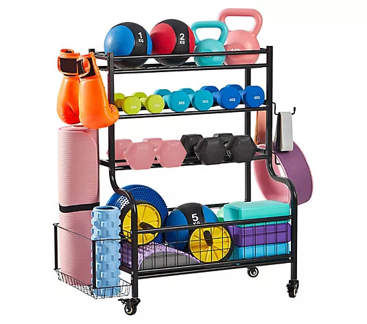LUGO Heavy-Duty Dumbbell Storage Rack with Wheels and Hooks | QVC