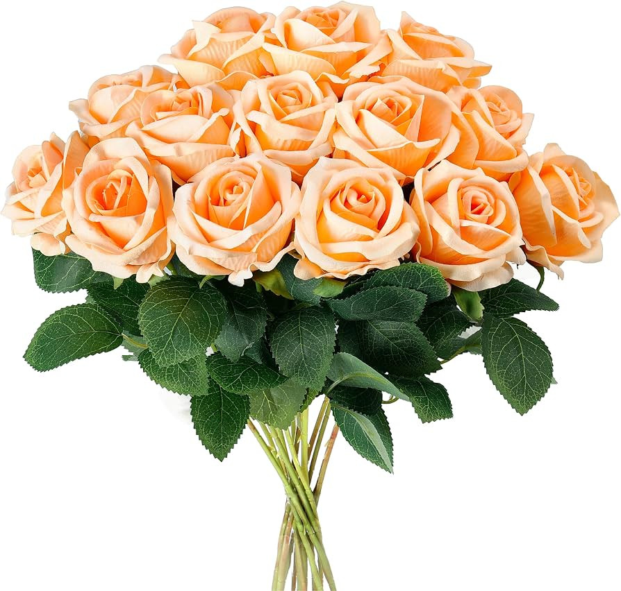 Auihiay 14PCS Champagne Artificial Roses, Realistic Silk Fake Roses Flowers | Amazon (US)