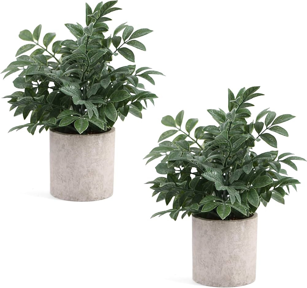 2 Pack Small Fake Plants Potted Artificial Herb Plants for Shelf Desk Home Bathroom Farmhouse Roo... | Amazon (US)