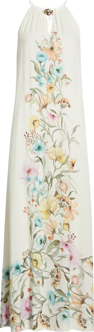 Floral Print Sleeveless Maxi Dress | Nordstrom