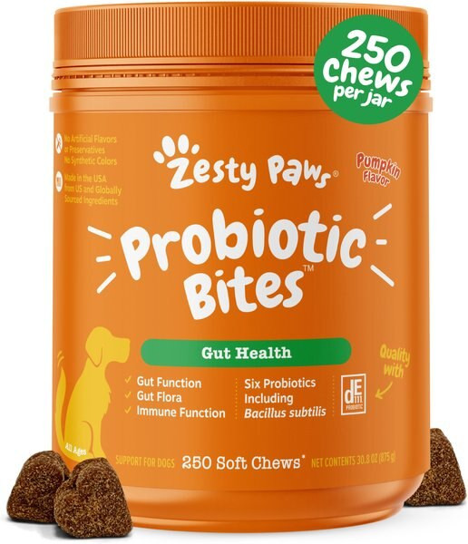 ZESTY PAWS Probiotic Bites Pumpkin Flavored Soft Chews Gut Flora & Digestive Supplement for Dogs,... | Chewy.com