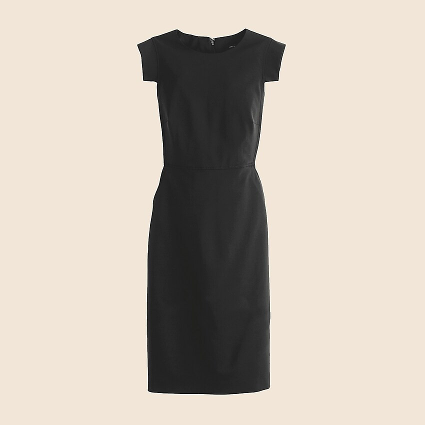 Resume dress | J. Crew US
