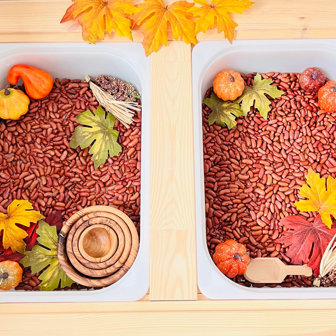 Easy fall sensory bin 

#LTKSeasonal #LTKkids #LTKunder50