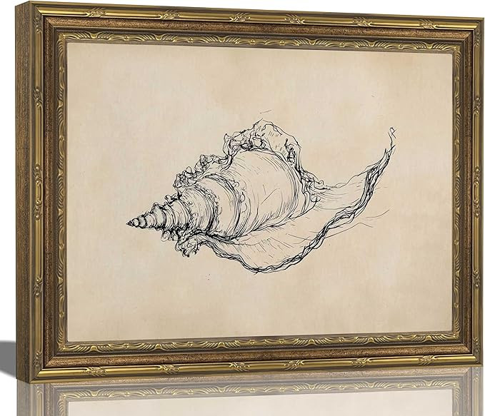 Gold Framed Wall Art Vintage Seashell Sketch Wall Art Summer Rustic Neutral Ocean Conch Wall Deco... | Amazon (US)