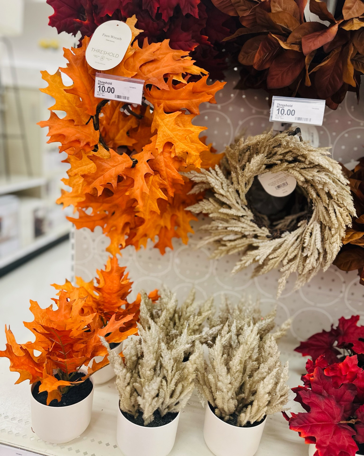 🍂 Falling for Target's fall decor collection! 🍁 #TargetFinds #AutumnVibes

#LTKfindsunder50 #LTKhome #LTKSeasonal