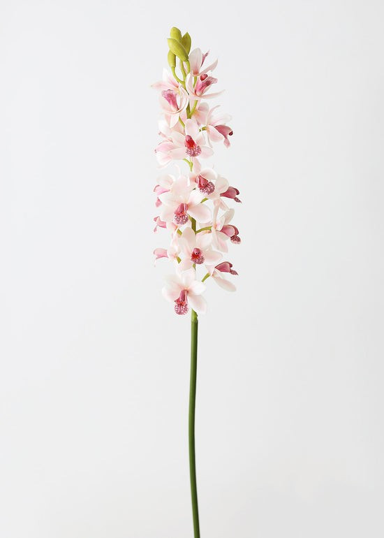 Pink Mauve Fake Cymbidium Orchid - 31 | Afloral (US)