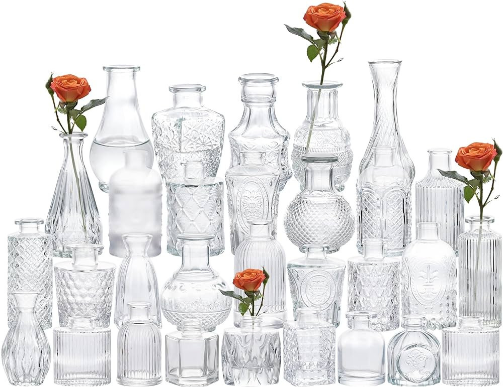 Glass Bud Vases Set of 30,Small Vases for Flowers,Glass Vases for Centerpieces,Clear Vases Bulk M... | Amazon (US)
