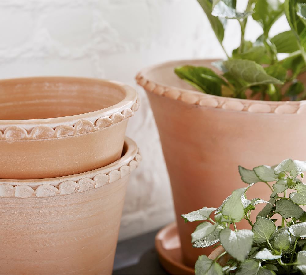 Provence Scalloped Edge Outdoor Planters | Pottery Barn (US)