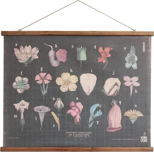 Creative Co-Op Scientific Botanicals Linen & Wood Scroll Wall Poster,Beige, 0.98" x 38.25" | Amazon (US)
