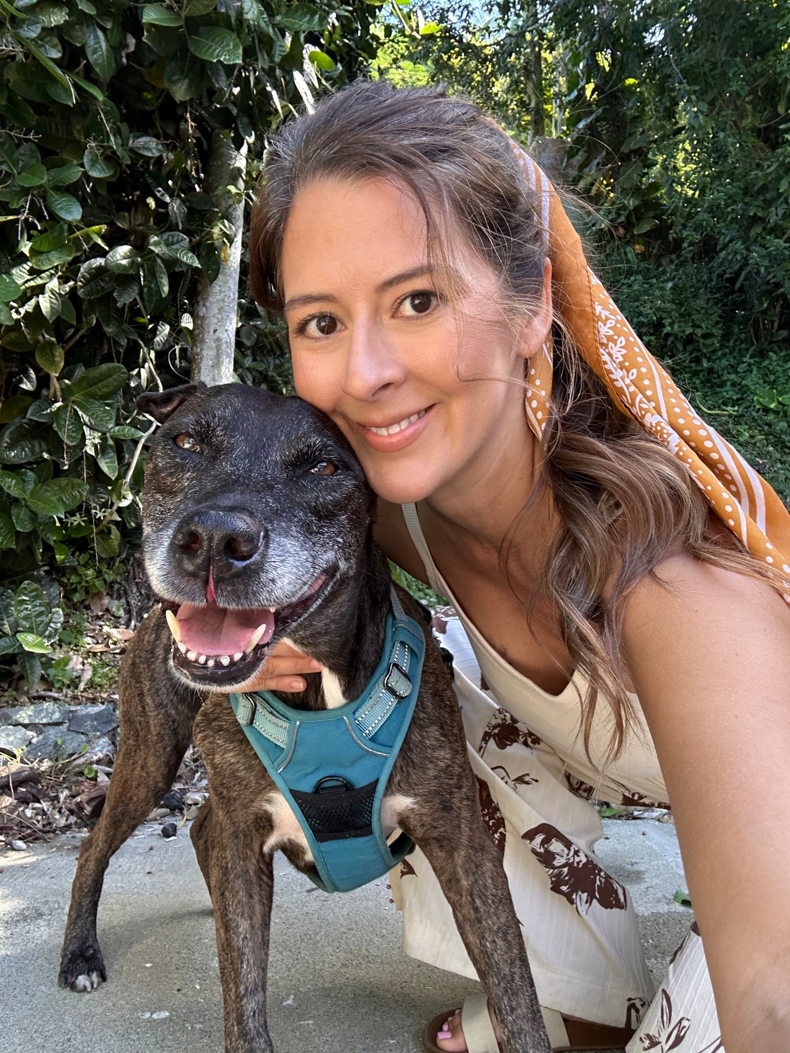 Ain’t not holiday without your fur babies! 

#LTKHoliday #LTKGiftGuide #LTKdayinmylife