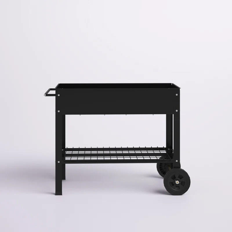 Leia Galvanized Steel Elevated Planter | Wayfair North America