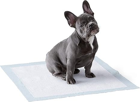 Amazon Basics Dog and Puppy Pee Pads with Leak-Proof Quick-Dry Design for Potty Training, Standar... | Amazon (US)