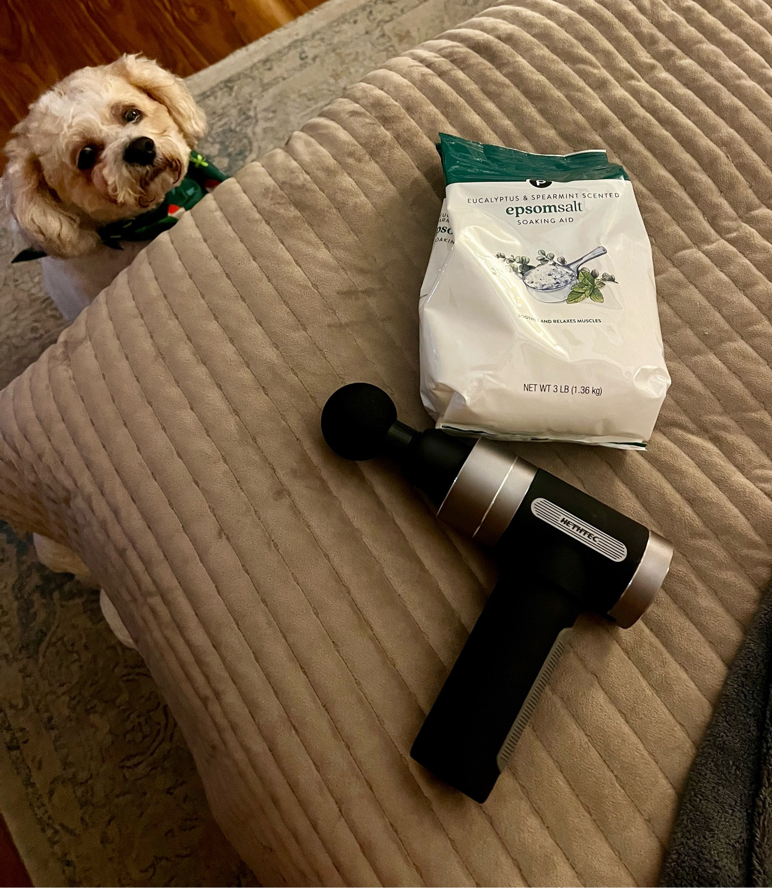 Body massage gun
Thera gun dupe
Running recovery tools 

#LTKfitness