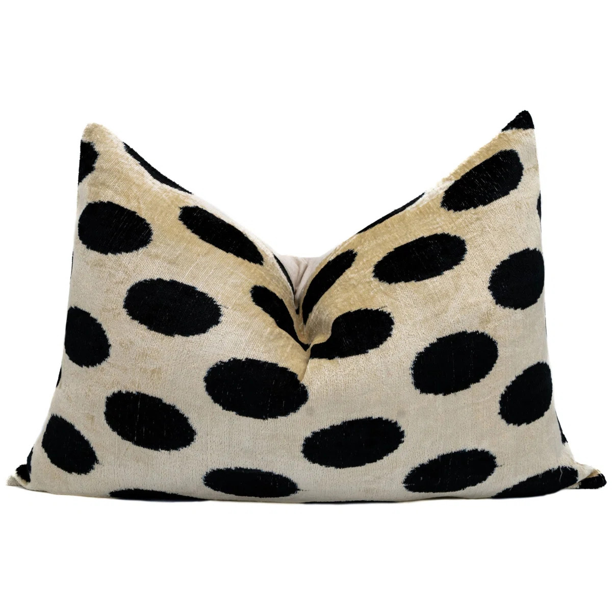 Velvet Throw Pillow | Wayfair North America