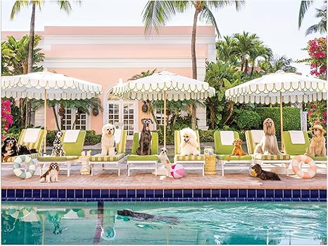 Galison Gray Malin Palm Beach – 1000 Piece Book Box Puzzle with Glamorous Palm Beach Dogs Photo... | Amazon (US)