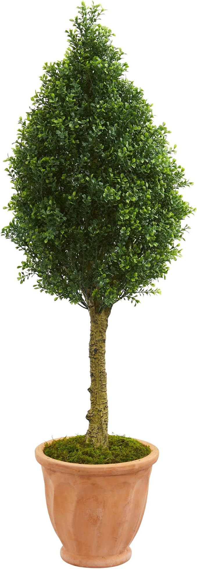 Nearly Natural 5751 Boxwood Cone Artificial Tree in Terracotta Planter, 4' | Amazon (US)