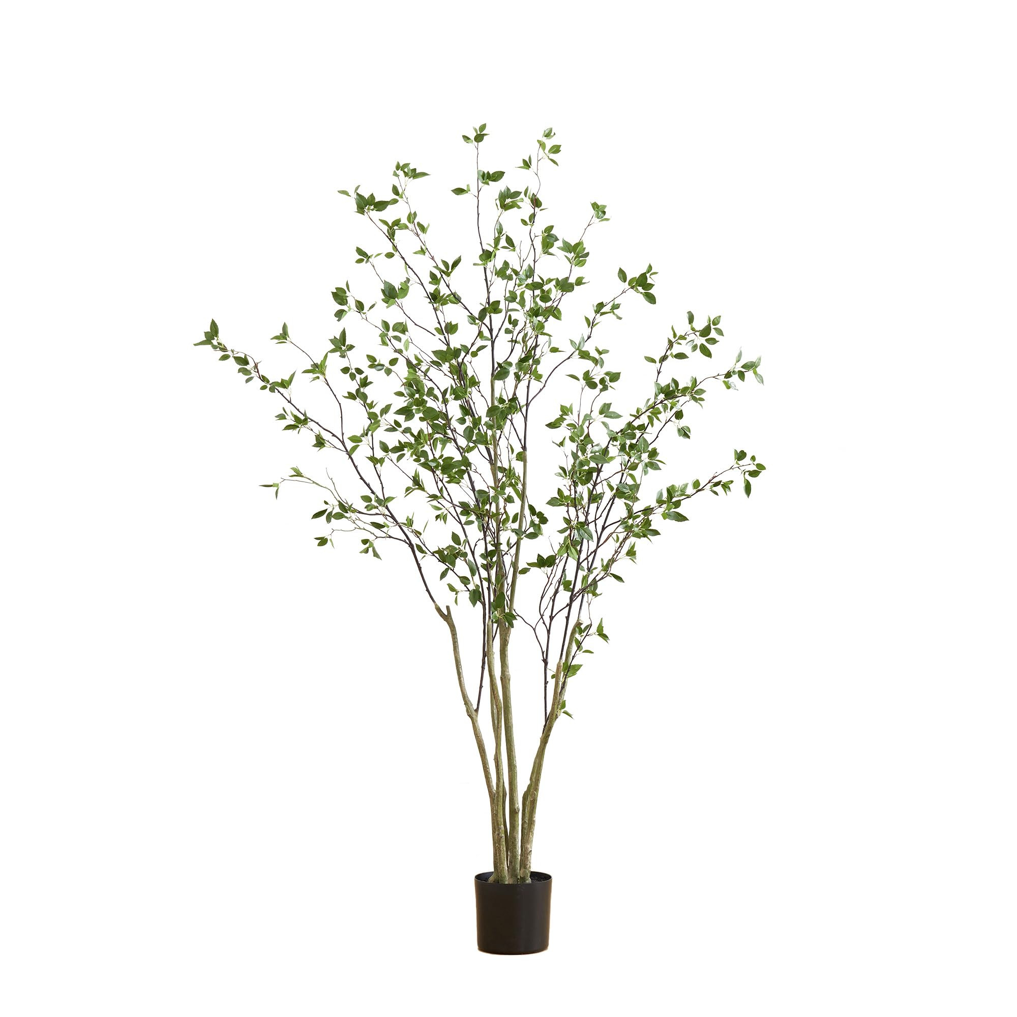 Nearly Natural Árbol artificial minimalista de cítricos de 7 pies | Amazon (US)