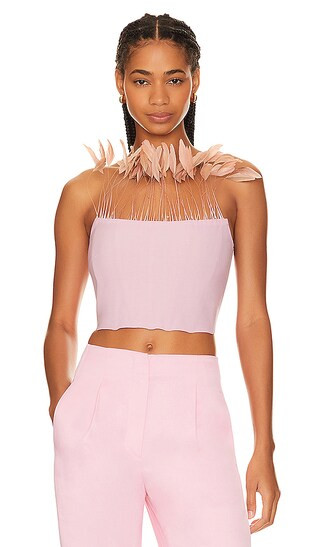 Cropped Bustier With Feathers in Light Pink | Revolve Clothing (Global)