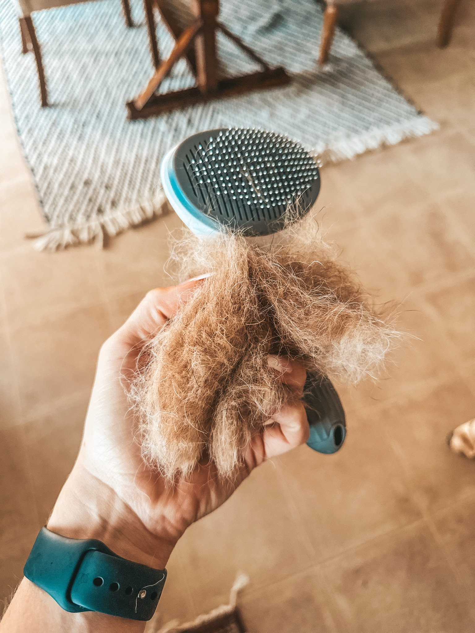 Great dog hair brush from Target! Has a push button on the back side to easily side hair off of the bristles 👌🏻

#LTKPets #LTKFamily