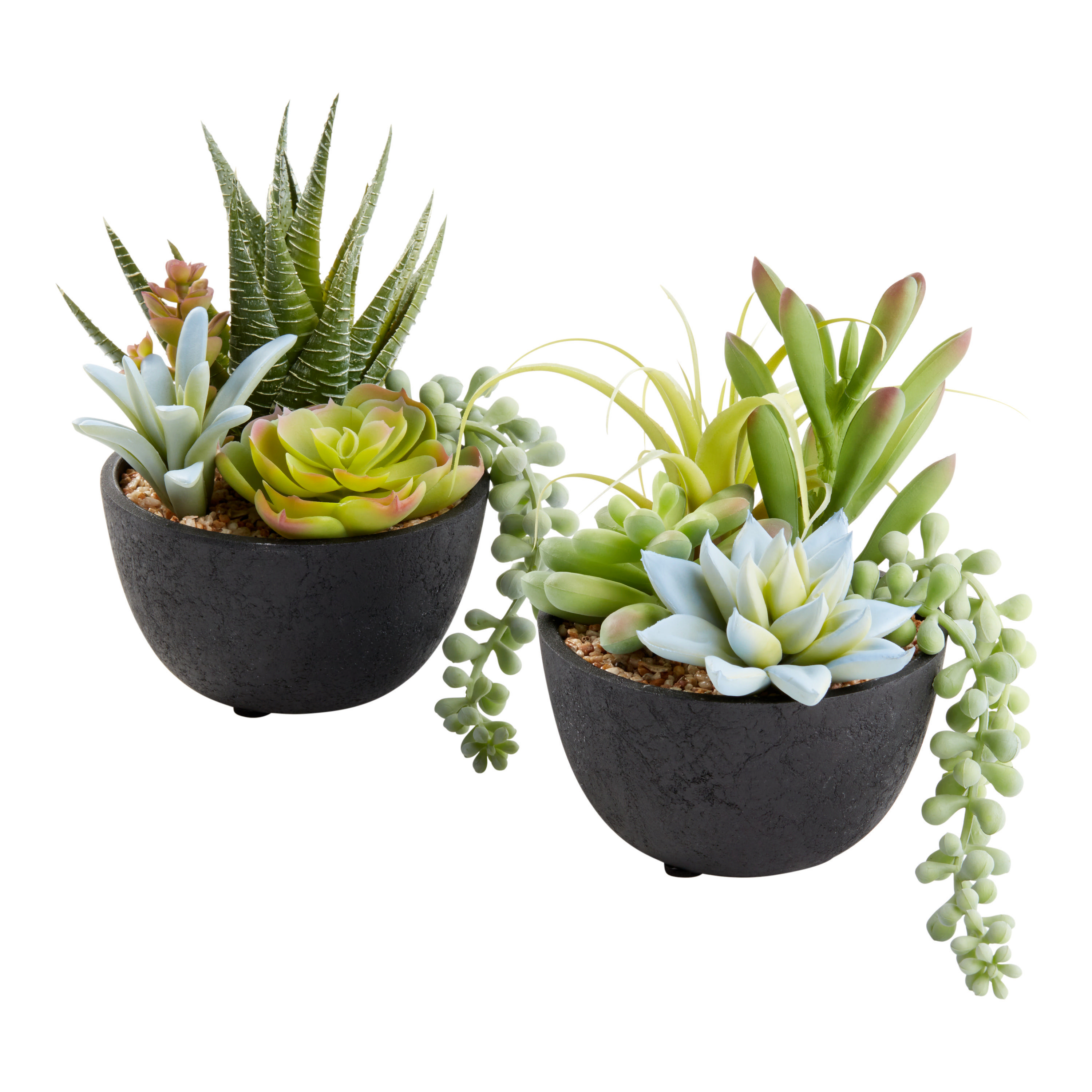 Faux Succulent Arrangements in Black Pots Set of 2 | World Market