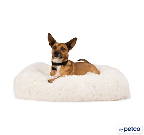 EveryYay Faux Fur Rectangle Dog Bed, 32" L X 24" W X 6" H, Cream | Petco