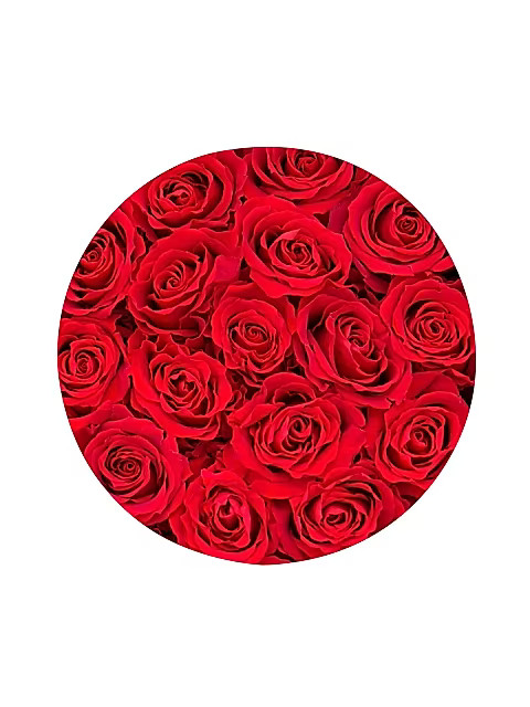 Classic Box Collection Roses in Black Round Box | Saks Fifth Avenue