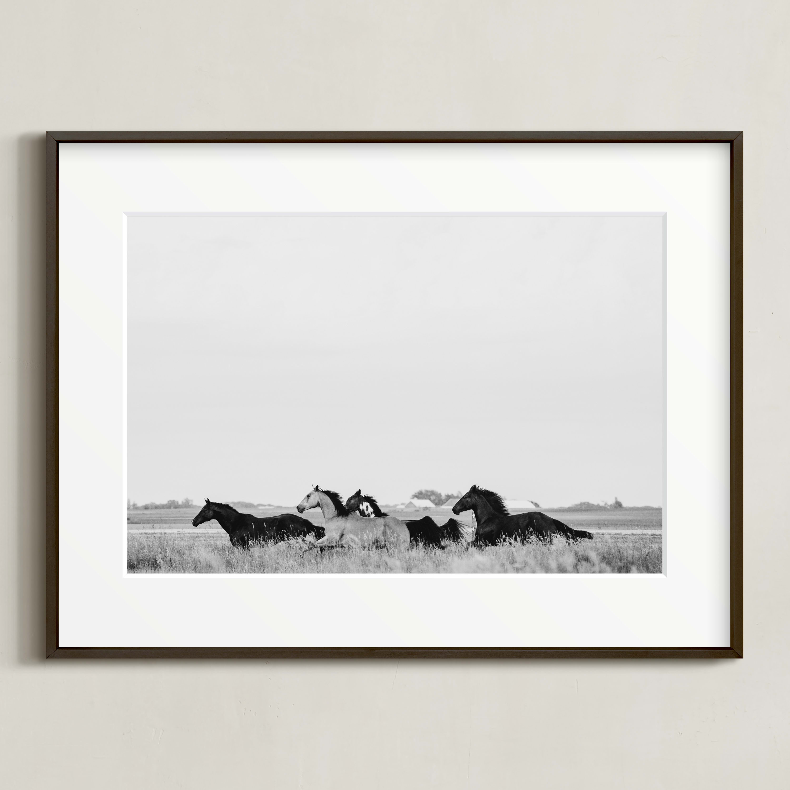 "That Wild Dream" - Photography Limited Edition Art Print by Amy Carroll. | Minted
